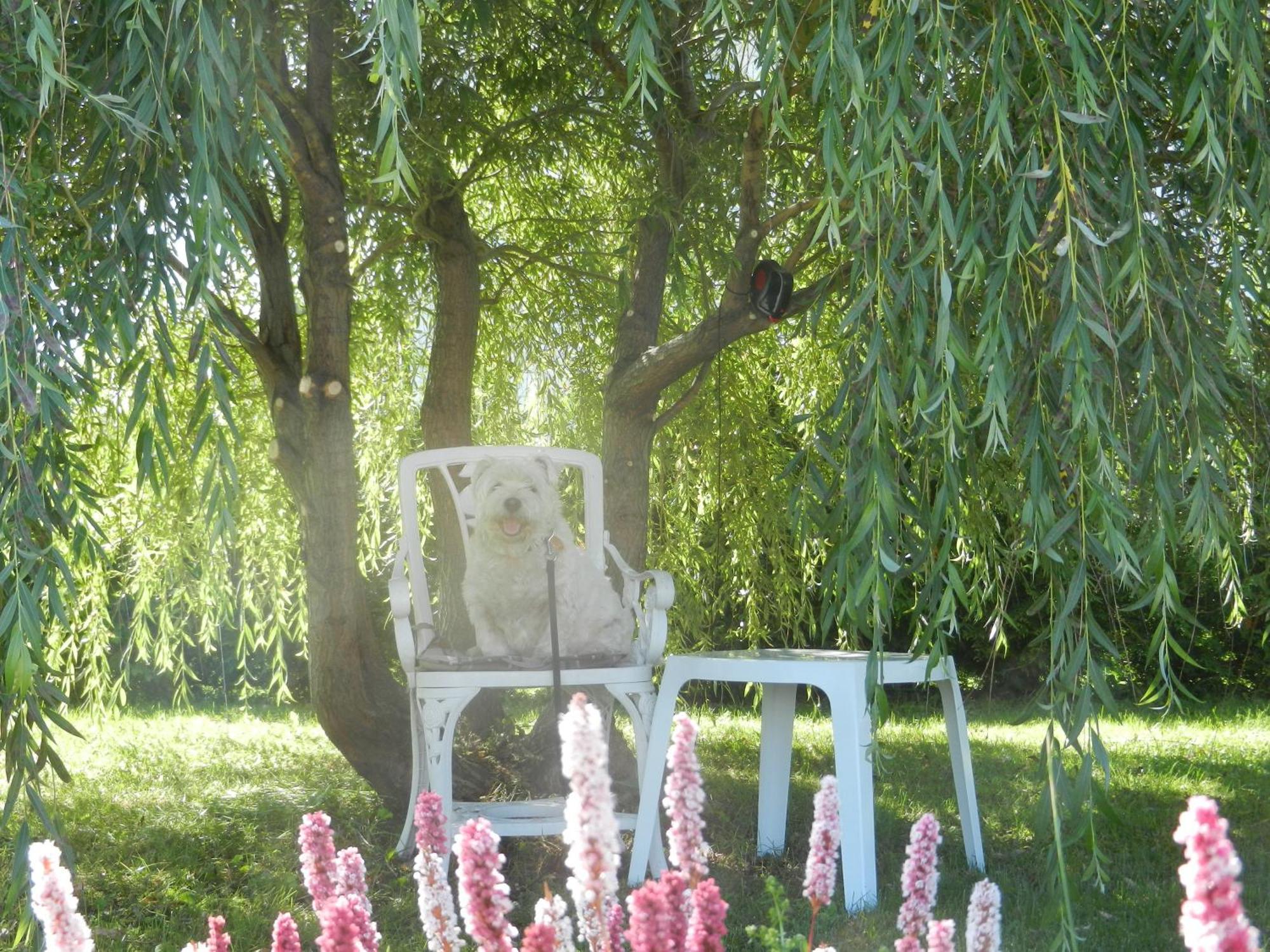 Gite La Ptite Falaise Hebergement Touristique Sainte Anne des Monts ห้อง รูปภาพ