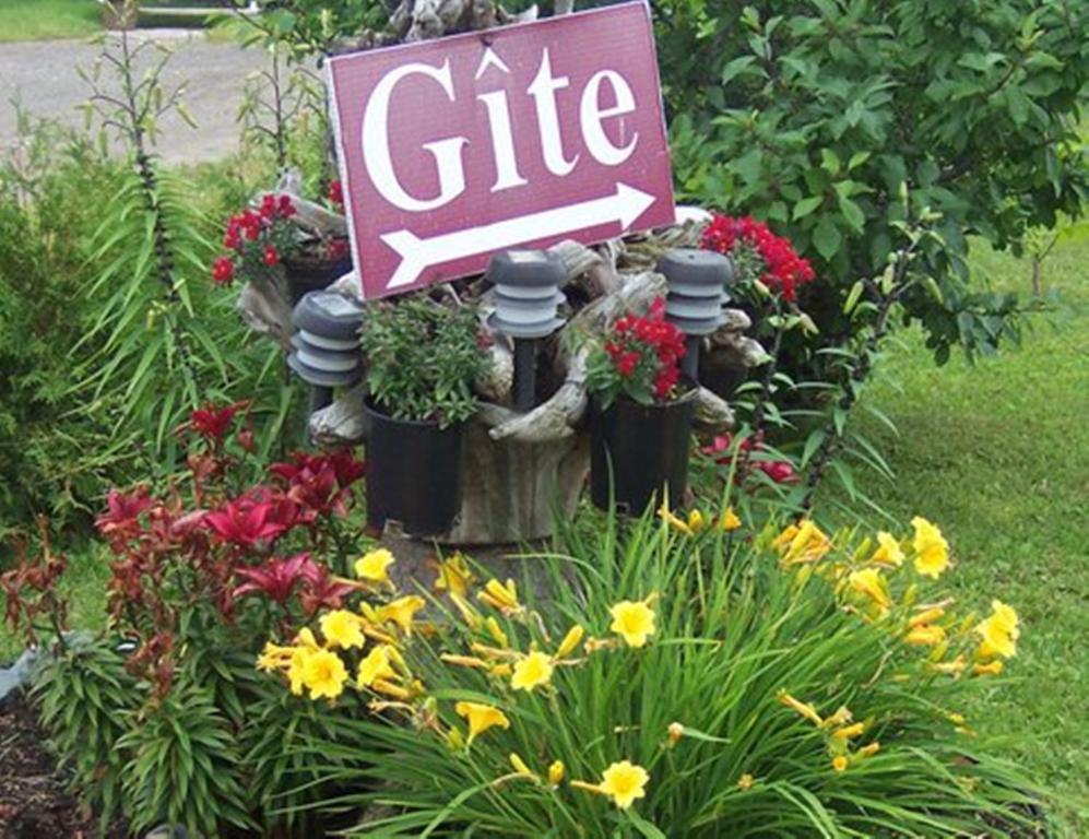 Gite La Ptite Falaise Hebergement Touristique Sainte Anne des Monts ภายนอก รูปภาพ