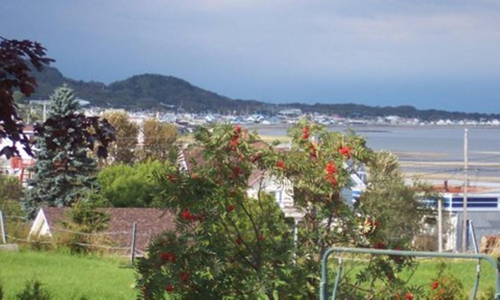 Gite La Ptite Falaise Hebergement Touristique Sainte Anne des Monts ภายนอก รูปภาพ