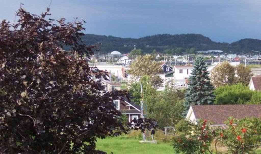 Gite La Ptite Falaise Hebergement Touristique Sainte Anne des Monts ภายนอก รูปภาพ
